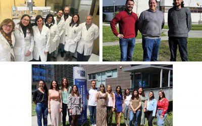 A RAGC premia aos investigadores da Universidade da Coruña que están a desenvolver métodos novidosos para determinar a presenza de microplásticos no medio
